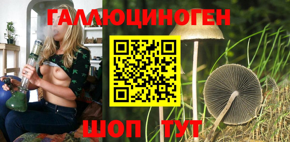 Майский  Галлюциногенные грибы Psilocybe  Вход с VPN 