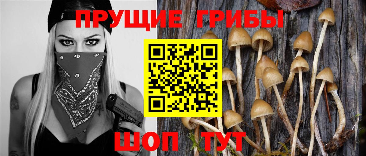 Псилоцибиновые грибы ЛСД Майский